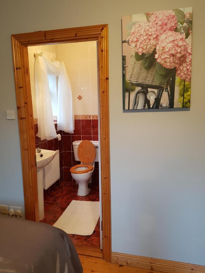 Hillgrove House Apartment Boyle Luaran gambar